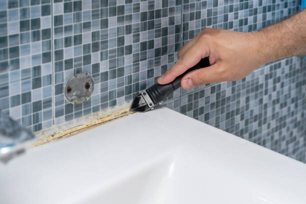 Best Home Mold Removal  in Lake Lakengren, OH