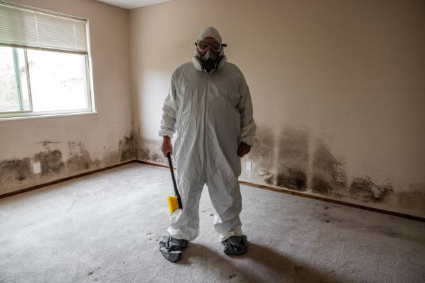 Best Attic Mold Removal  in Lake Lakengren, OH